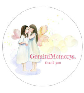 Gemini Memorys.