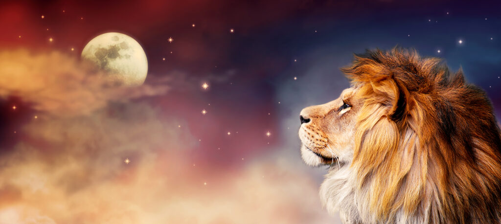 lions gate 2025